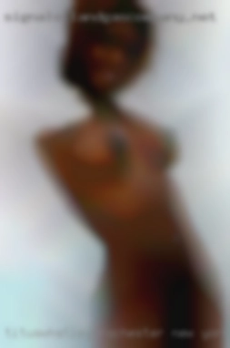 titusWhatley Rochester New York